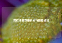 商标注册费用构成与预算规划