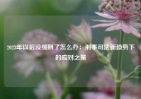 2023年以后没缓刑了怎么办：刑事司法新趋势下的应对之策