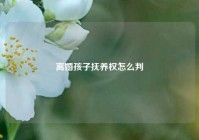 离婚孩子抚养权怎么判