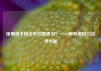 缓刑是不用坐牢的意思吗？——解析缓刑的法律内涵