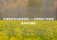 车辆违章当天能查到吗——法律视角下的信息查询时效解析