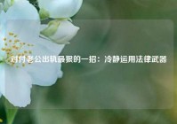 对付老公出轨最狠的一招：冷静运用法律武器