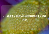 12333社保个人查询入口的法律保障与个人权益探析
