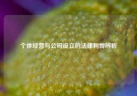 个体经营与公司设立的法律利弊辨析