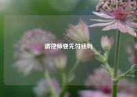 请律师要先付钱吗