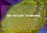 围绕“是什么意思”的法律内涵解析