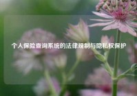 个人保险查询系统的法律规制与隐私权保护