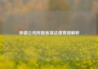 申请公司所需各项法律费用解析