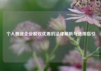 个人独资企业税收优惠的法律解析与适用指引
