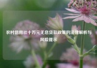 农村信用社十万元无息贷款政策的法律解析与风险提示