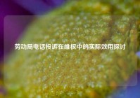 劳动局电话投诉在维权中的实际效用探讨