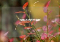 按揭法律含义解析