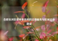 合肥包河区律师事务所的法律服务与区域法治建设