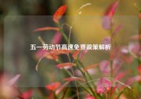五一劳动节高速免费政策解析