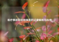 医疗事故赔偿明细表的法律解析与应用