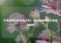 打电话劳动局会来人吗：劳动者维权的法律途径解析