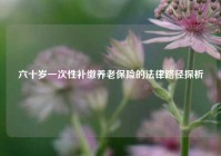 六十岁一次性补缴养老保险的法律路径探析