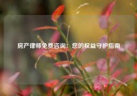 房产律师免费咨询：您的权益守护指南