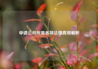 申请公司所需各项法律费用解析