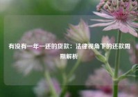 有没有一年一还的贷款：法律视角下的还款周期解析