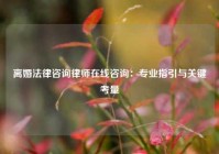 离婚法律咨询律师在线咨询：专业指引与关键考量