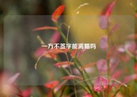 一方不签字能离婚吗