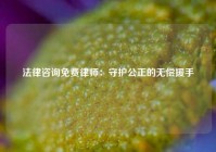 法律咨询免费律师：守护公正的无偿援手