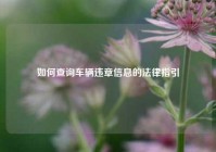 如何查询车辆违章信息的法律指引