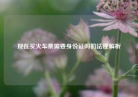 现在买火车票需要身份证吗的法律解析
