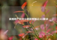 离婚财产如何分割新婚姻法2021解读
