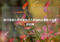 执行信息公开网被执行人查询的法律意义与实践应用