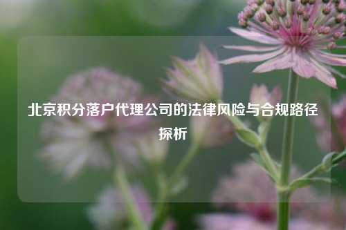 北京积分落户代理公司的法律风险与合规路径探析
