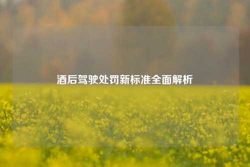 酒后驾驶处罚新标准全面解析