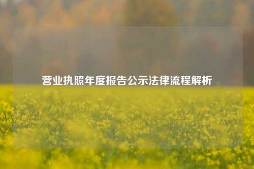 营业执照年度报告公示法律流程解析