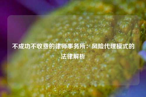 不成功不收费的律师事务所：风险代理模式的法律解析