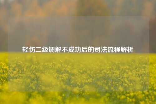 轻伤二级调解不成功后的司法流程解析