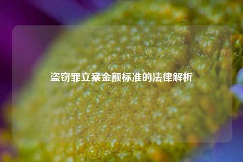 盗窃罪立案金额标准的法律解析