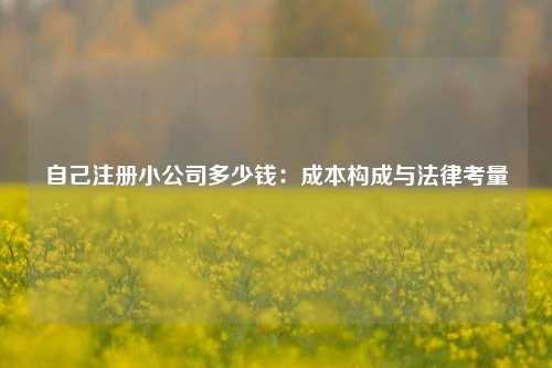 自己注册小公司多少钱:成本构成与法律考量