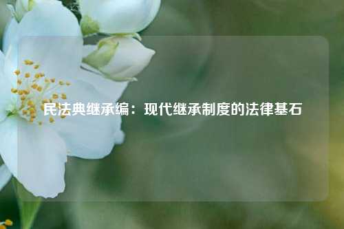 民法典继承编：现代继承制度的法律基石