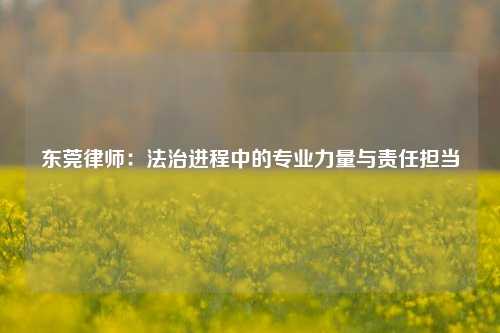 东莞律师：法治进程中的专业力量与责任担当