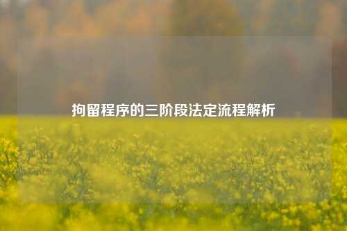 拘留程序的三阶段法定流程解析