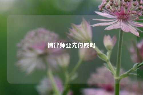 请律师要先付钱吗